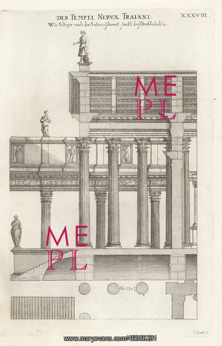: Elevation and plan of the Temple of Minerva, Rome : Elevation and plan of the Temple of Minerva, Rome