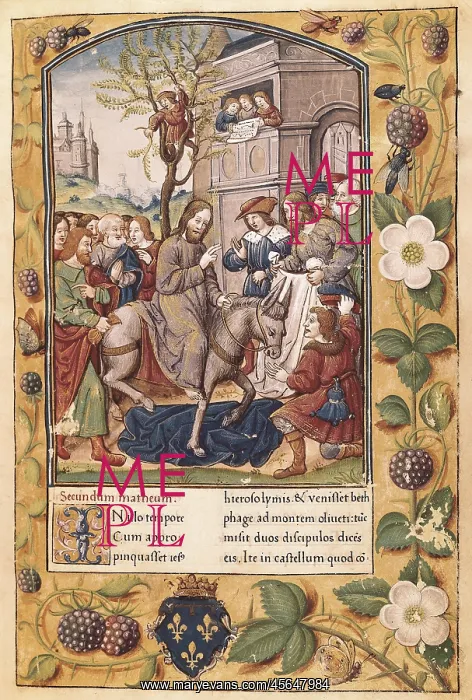 : Elevation of the Sacred Host. Page on Gospels of : Elevation of the Sacred Host. Page on Gospels of