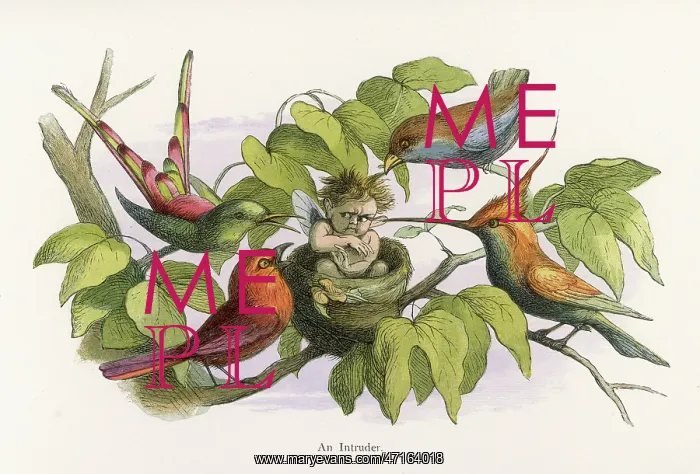  : Elf in a birds nest