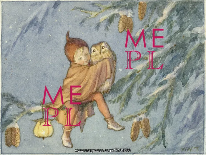 : Elf and owl on fir tree : Elf and owl on fir tree