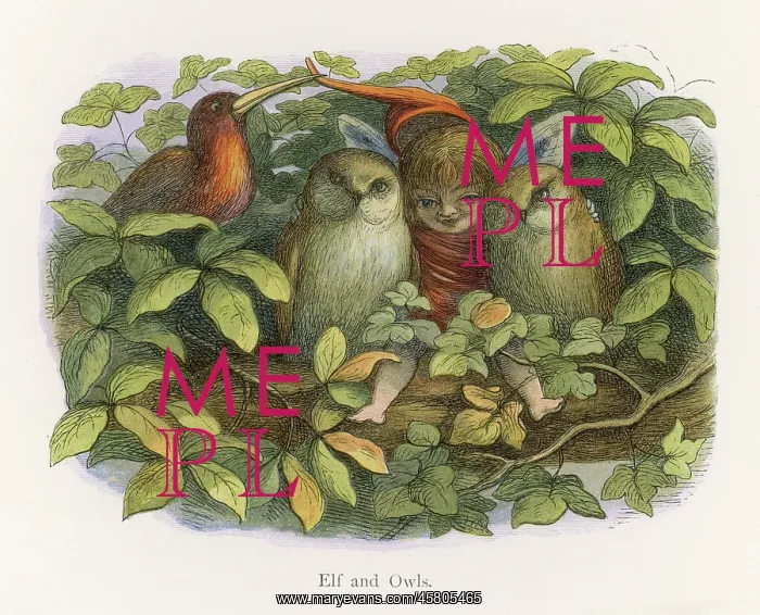  : Elf with two owls