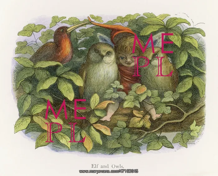  : Elf with two owls