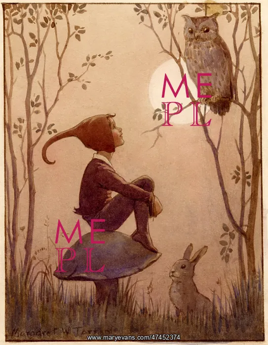: Elf sitting on toadstool looking at owl : Elf sitting on toadstool looking at owl