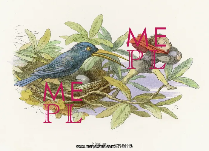 : Elf stealing bird's egg : Elf stealing bird's egg