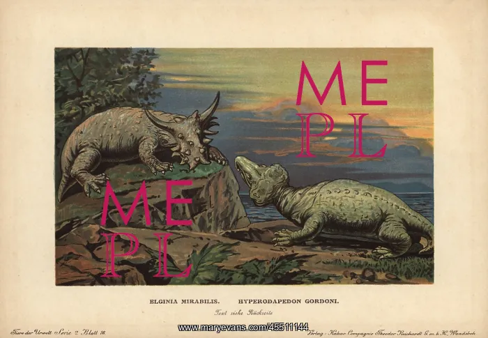 : Elginia mirabilis, extinct pareiasaur, and : Elginia mirabilis, extinct pareiasaur, and