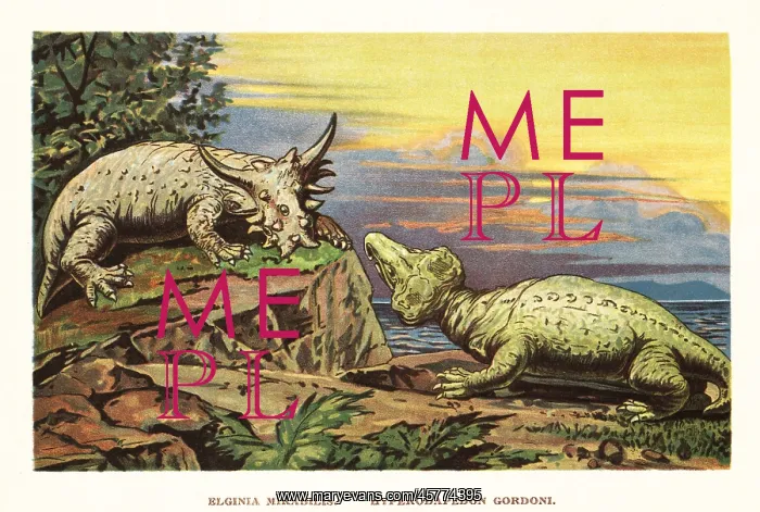: Elginia mirabilis (left), Hyperodapedon gordoni (right) : Elginia mirabilis (left), Hyperodapedon gordoni (right)