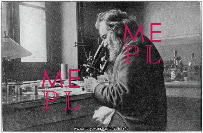 : Elie Metchnikoff : Elie Metchnikoff