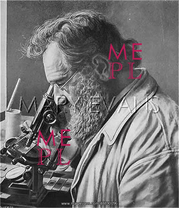 : ELIE METCHNIKOFF : ELIE METCHNIKOFF