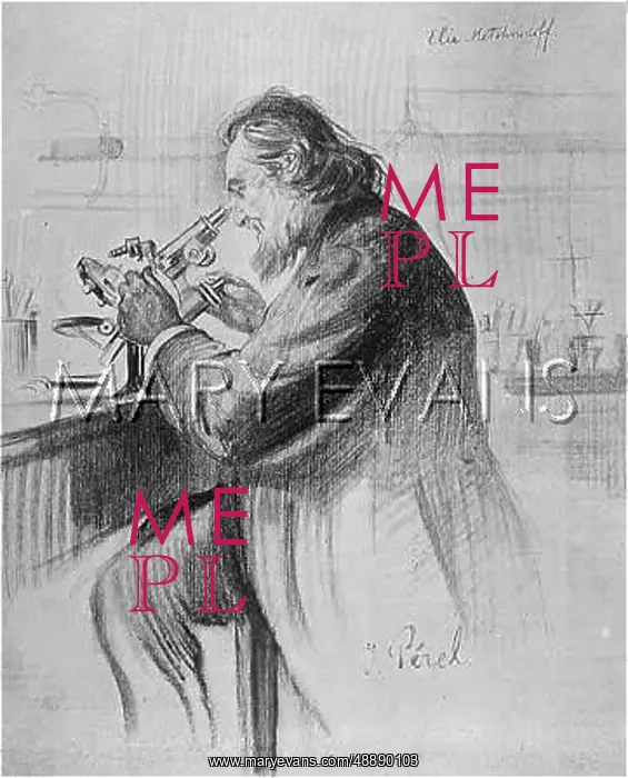: ELIE METCHNIKOFF : ELIE METCHNIKOFF