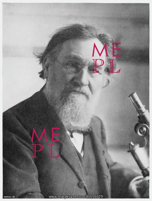 : Elie Metchnikoff - Russian zoologist and bacteriologist : Elie Metchnikoff - Russian zoologist and bacteriologist