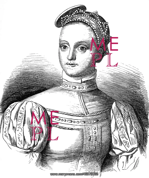: Elizabeth, Countess of Brandenburg : Elizabeth, Countess of Brandenburg
