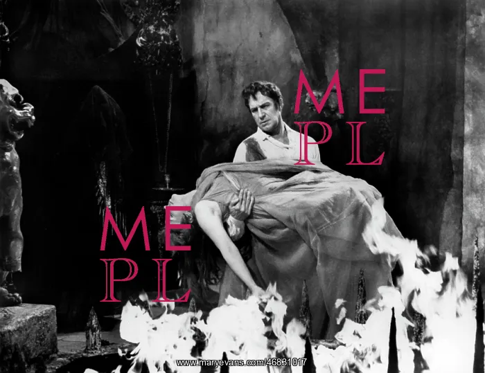 : Elizabeth Shepherd - Vincent Price : Elizabeth Shepherd - Vincent Price