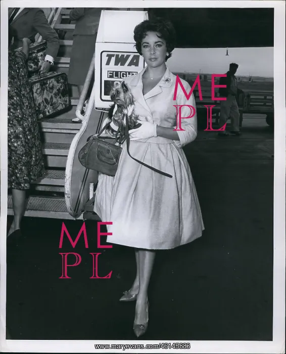 : Elizabeth Taylor, Hollywood actress : Elizabeth Taylor, Hollywood actress