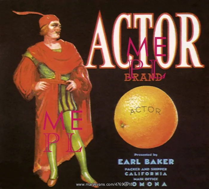  : Elizabethan Actor