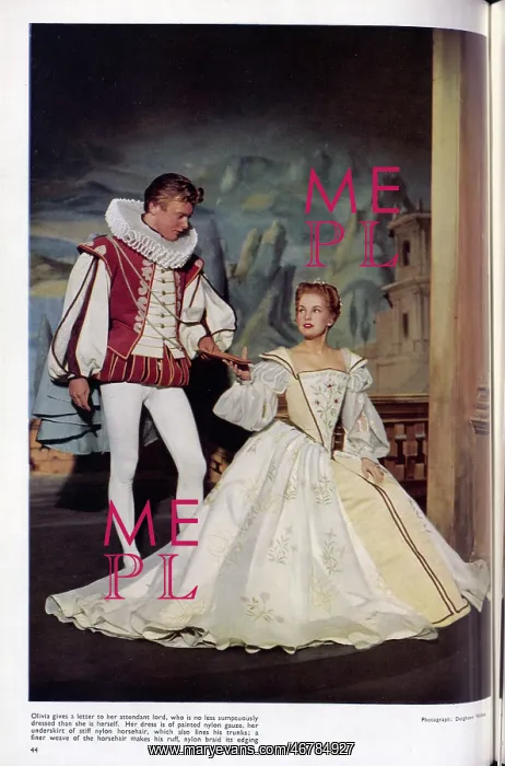 : Elizabethan Costumes, in Nylon : Elizabethan Costumes, in Nylon