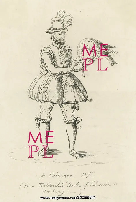 : ELIZABETHAN FALCONER : ELIZABETHAN FALCONER