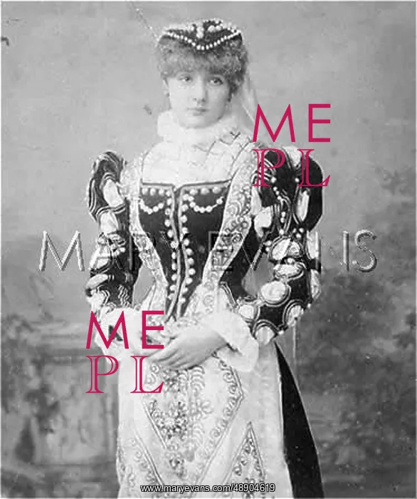 : Elizabethan Fancy Dress : Elizabethan Fancy Dress