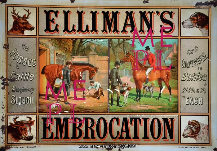 : Elliman's Embrocation : Elliman's Embrocation