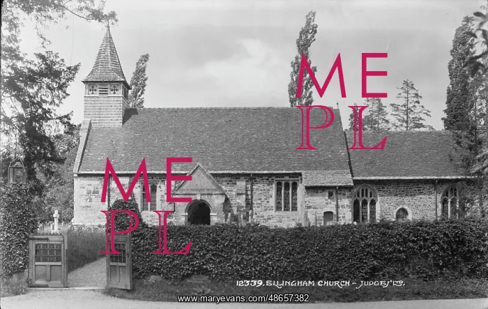 : Ellingham Church : Ellingham Church