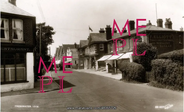 : Elliot's Library & Palace Cinema, Freshwater, Isle of Wight
