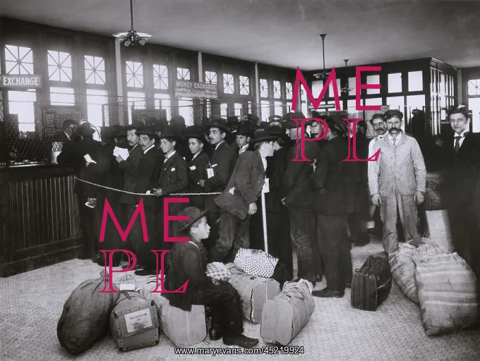 : Ellis Island provided new immigrants with ? : Ellis Island provided new immigrants with ?