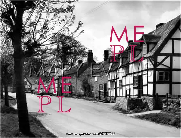 : ELMLEY CASTLE VILLAGE : ELMLEY CASTLE VILLAGE
