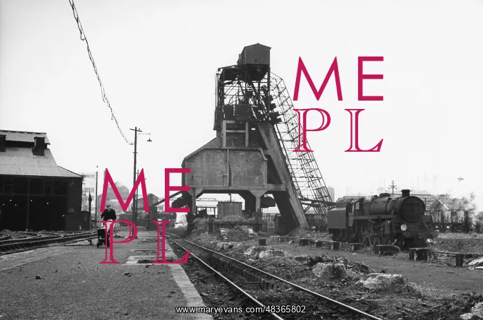 : Nine Elms coaling stage with steam engine : Nine Elms coaling stage with steam engine