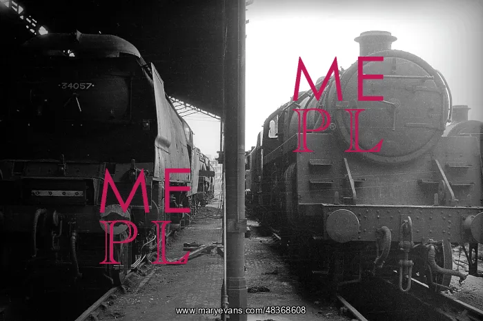 : Nine Elms Old Shed with two steam engines : Nine Elms Old Shed with two steam engines