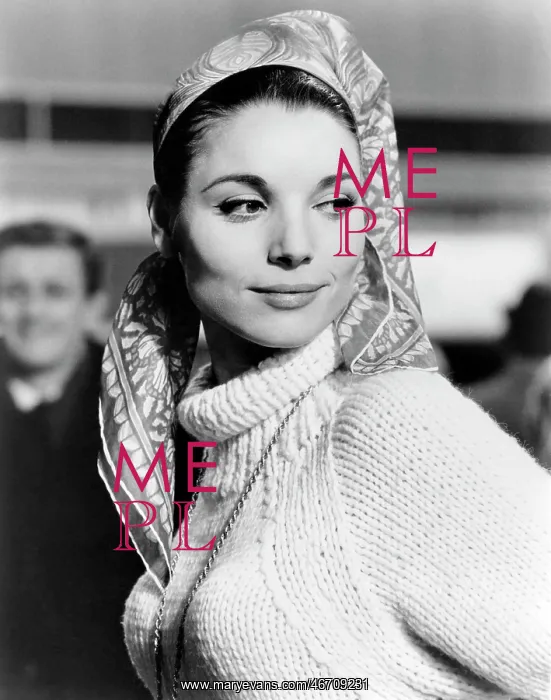 : Elsa Martinelli - Actress - Hollywood : Elsa Martinelli - Actress - Hollywood
