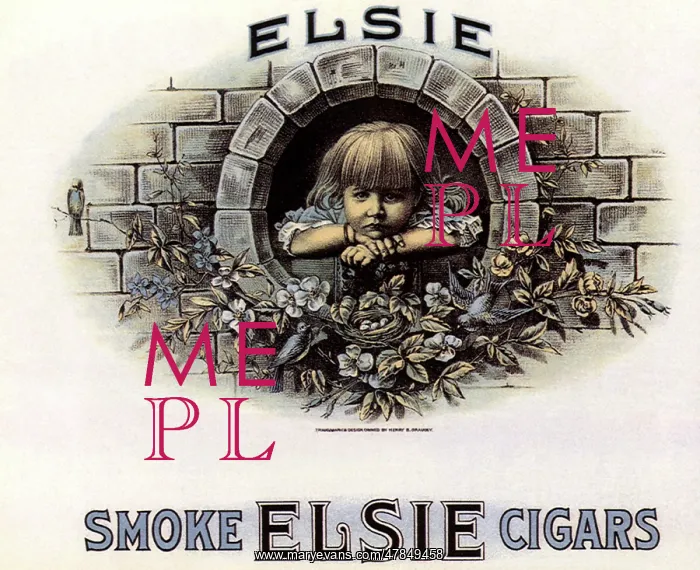  : Elsie