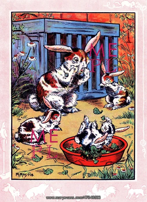 : Elsie's bunny rabbits : Elsie's bunny rabbits