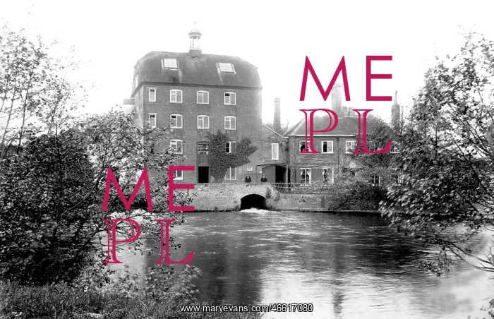  : Elstead, Mill 1906