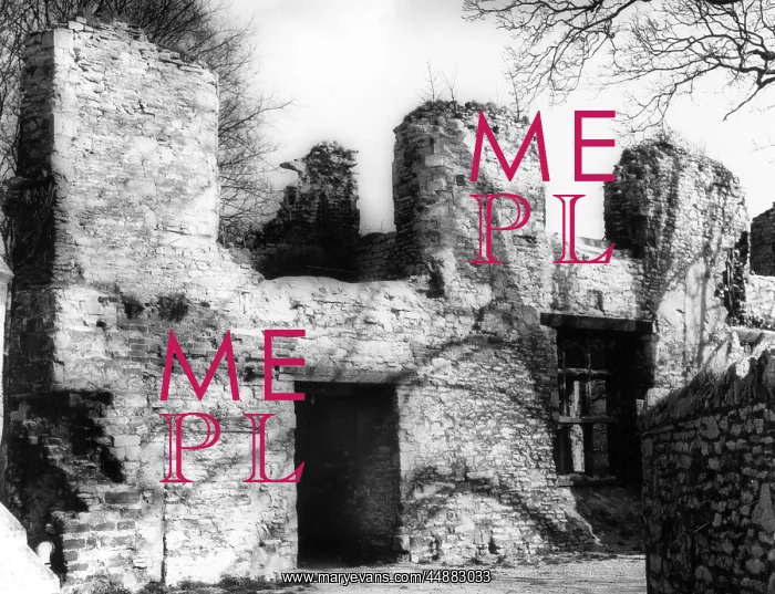 : ELSTOW PRIORY : ELSTOW PRIORY