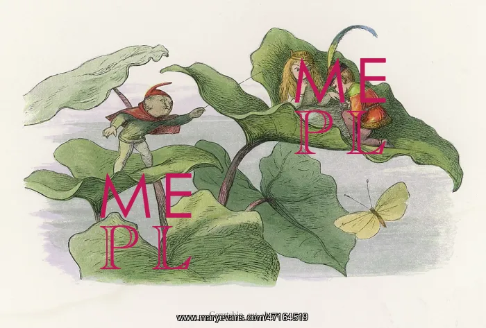  : Three elves on leaves