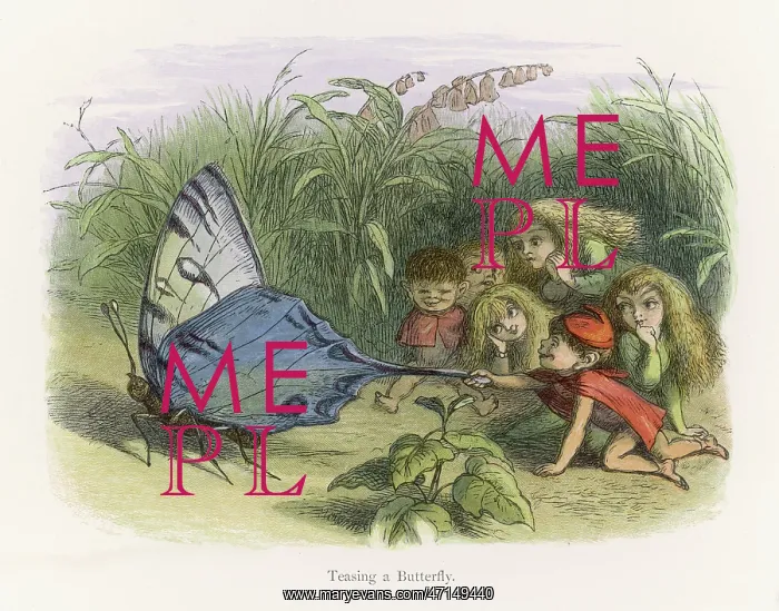 : Elves teasing a butterfly : Elves teasing a butterfly