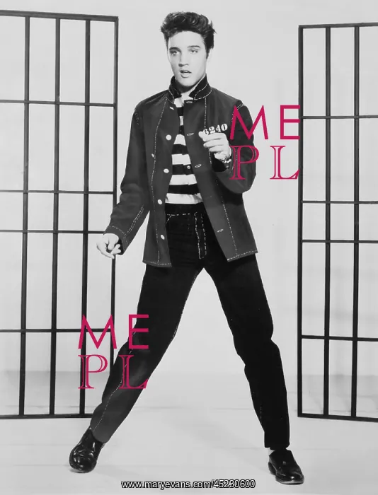 : Elvis Presley (1935-1977), publicity still ? : Elvis Presley (1935-1977), publicity still ?