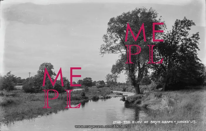 : The Elwy at Bryn Asaph : The Elwy at Bryn Asaph