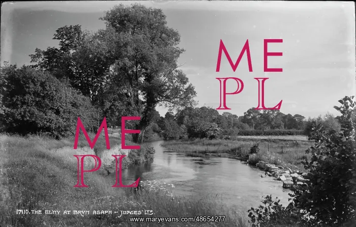 : The Elwy at Bryn Asaph : The Elwy at Bryn Asaph