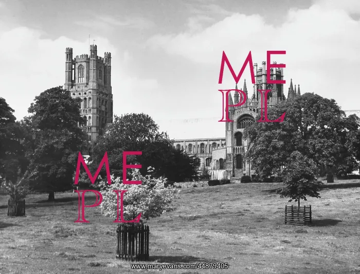 : ELY CATHEDRAL : ELY CATHEDRAL