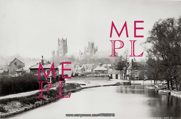: Ely Cathedral, Cambridgeshire, from the river Ouse : Ely Cathedral, Cambridgeshire, from the river Ouse