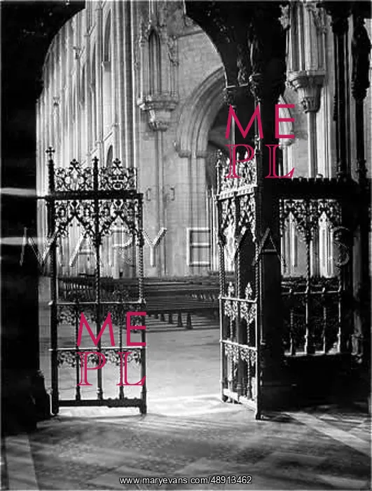 : ELY CATHEDRAL CHOIR GATE : ELY CATHEDRAL CHOIR GATE