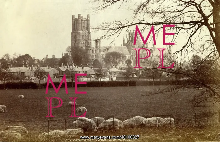 : Ely Cathedral, Ely, Cambridgeshire : Ely Cathedral, Ely, Cambridgeshire