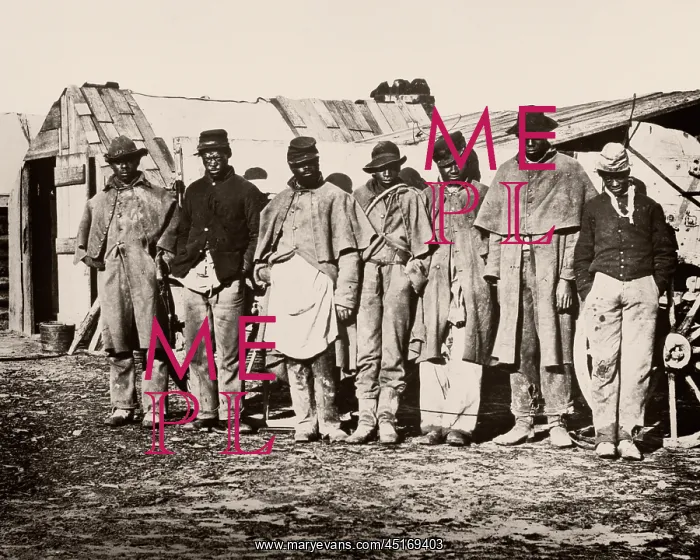 : Emancipated Slaves Serving As Teamsters in the : Emancipated Slaves Serving As Teamsters in the