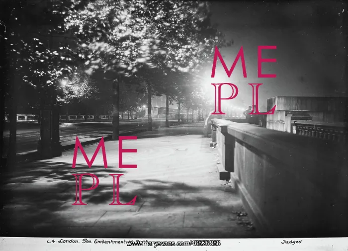 : The Embankment at Night : The Embankment at Night