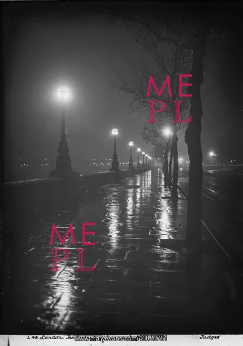 : The Embankment on a Wet Night : The Embankment on a Wet Night