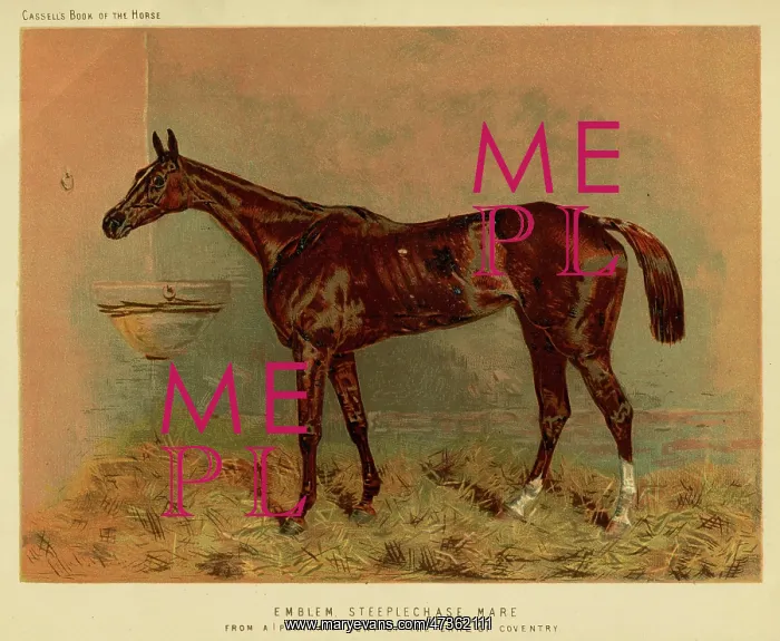 : Emblem (Racehorse) : Emblem (Racehorse)