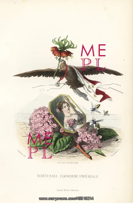 : Emblematic illustration of hortensia and crown : Emblematic illustration of hortensia and crown