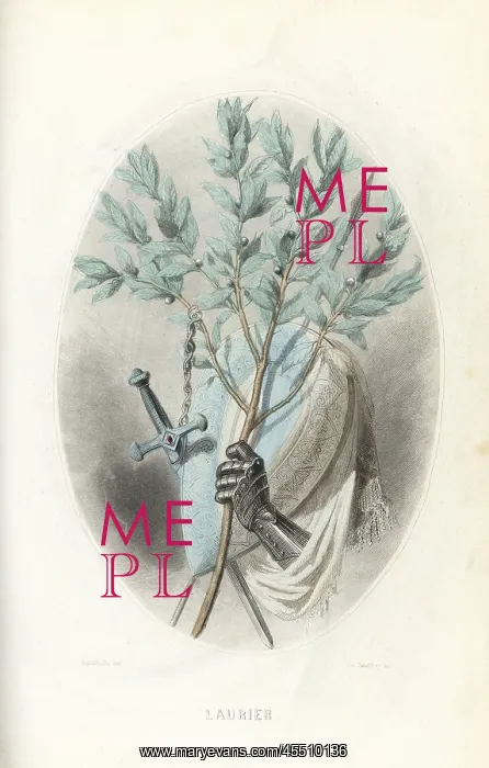 : Emblematic illustration of the laurel, Laurus nobilis : Emblematic illustration of the laurel, Laurus nobilis
