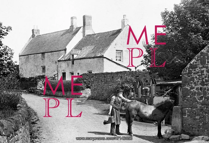 : Embleton Blacksmith early 1900s : Embleton Blacksmith early 1900s