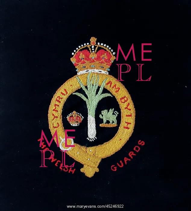: Embroidered badge of the Welsh Guards : Embroidered badge of the Welsh Guards
